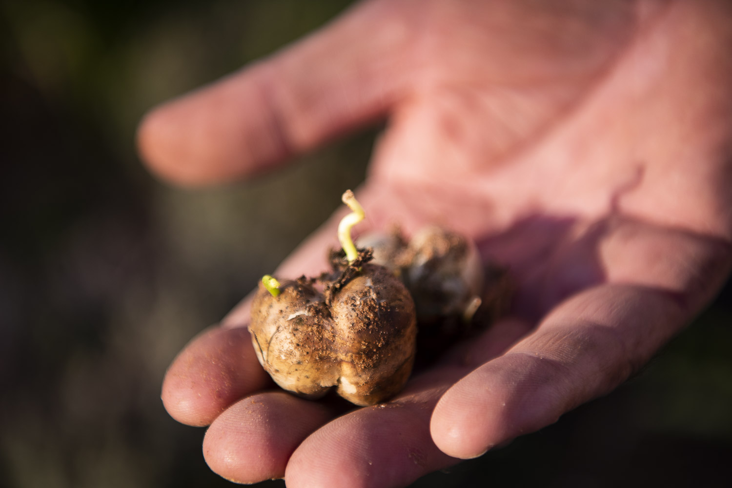 Ned's Corner handover ©Annette Ruzicka 11_LOW RES