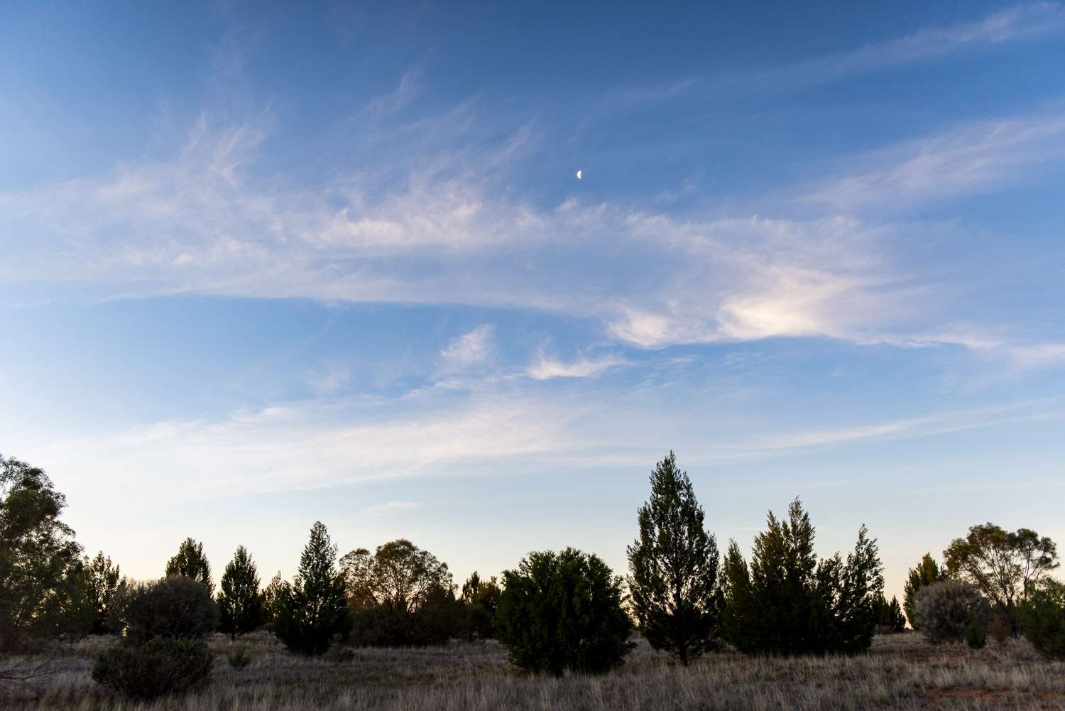 Ned's Corner handover ©Annette Ruzicka 20_LOW RES