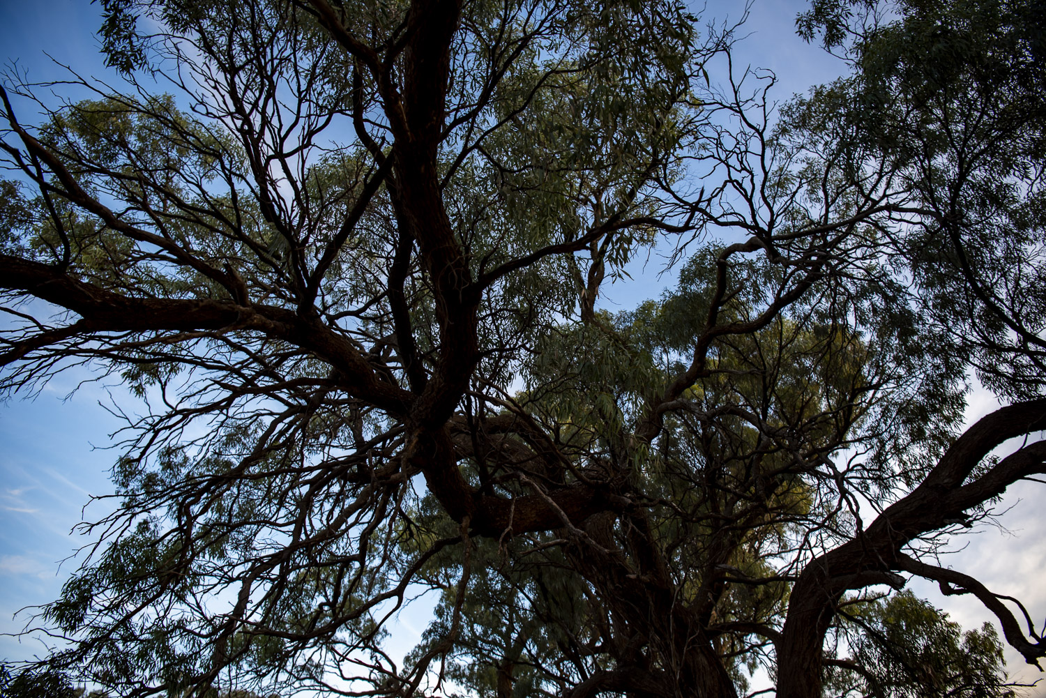 Ned's Corner handover ©Annette Ruzicka 50_LOW RES