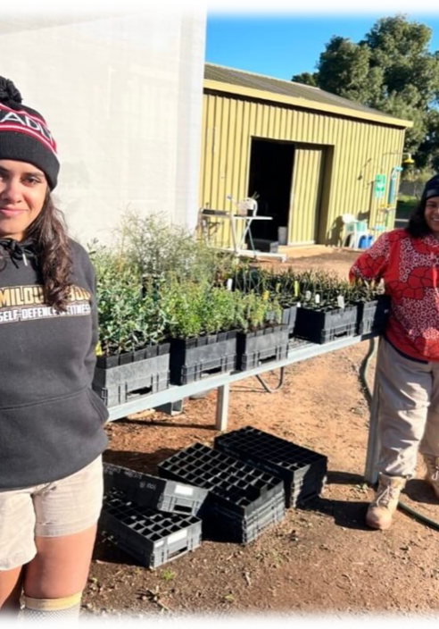 Fppmac newletter feature image