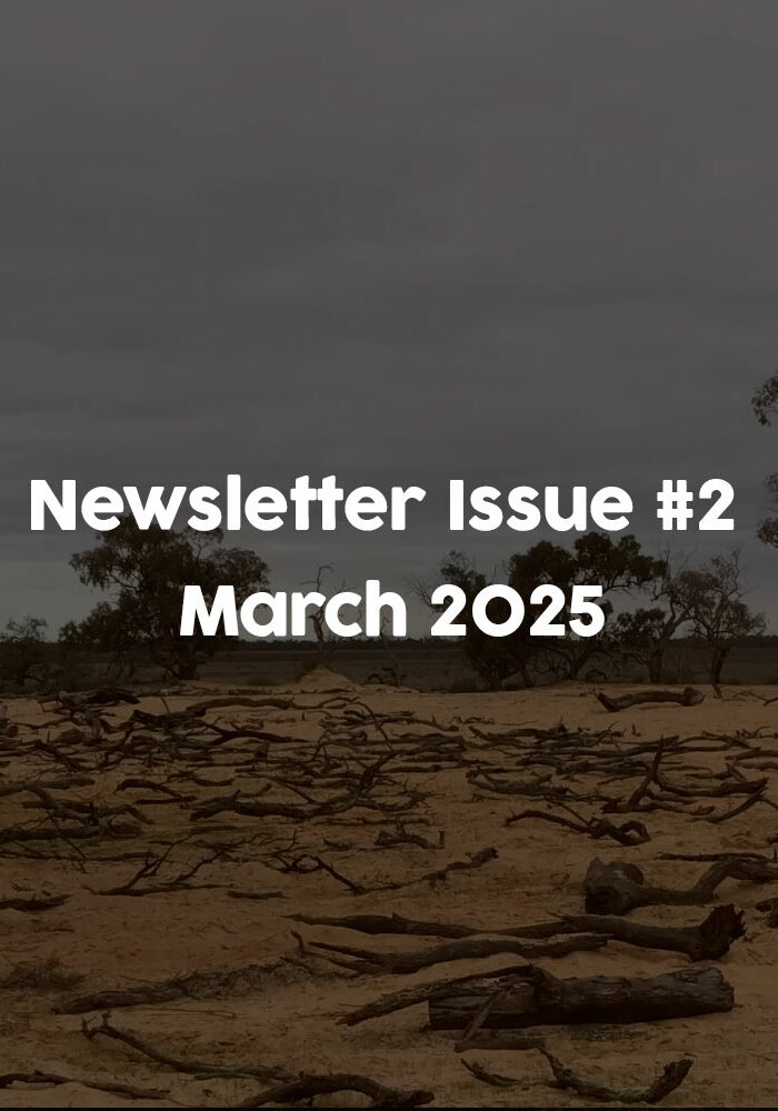 newsletter-issue-2-march-2025l